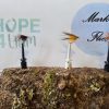 marks flies